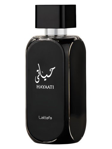 Hayaati - Imagem 3